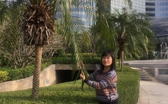 手机快播软件下载